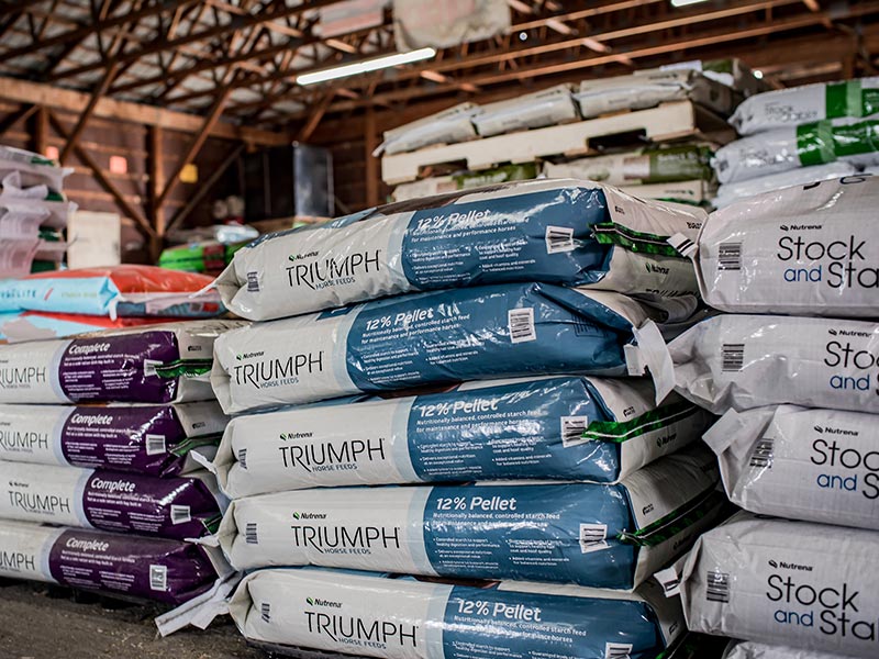 close up of piles of feed