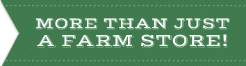 More than just a farm store