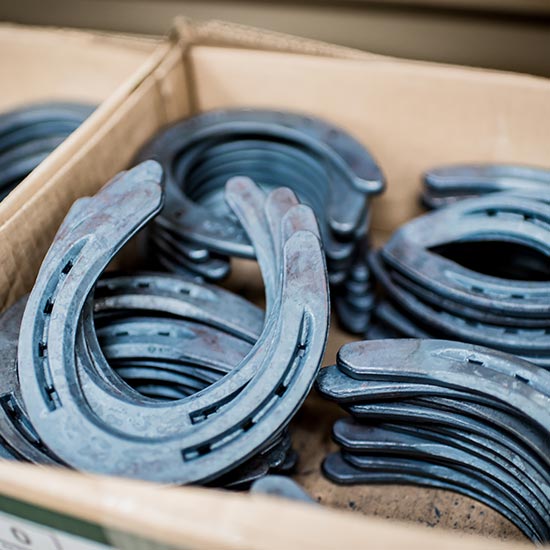 Walker's Farm horse shoes